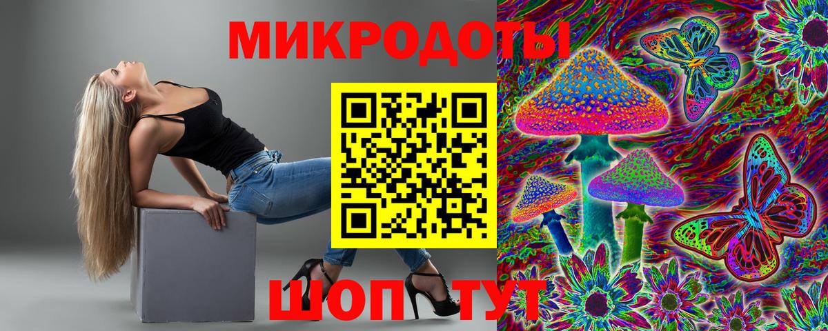 Псилоцибиновые грибы Cubensis Нефтекумск